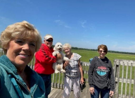 Group of people with their dogs on a boardwalk